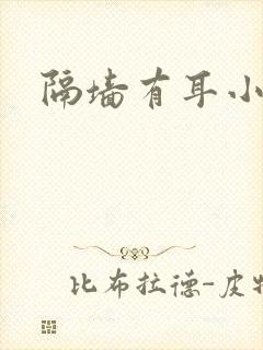 隔墙有耳小说封面