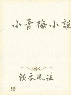 小青梅小说