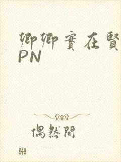 卿卿实在贤良NPN