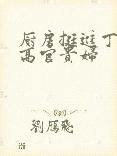 厨房挺进丁字裤高官贵妇