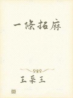 一条拓麻封面