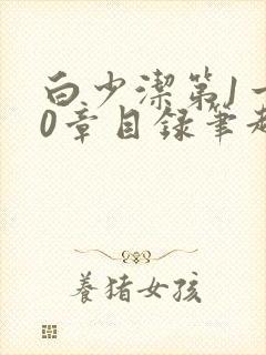 白少洁第1一40章目录笔趣阁封面