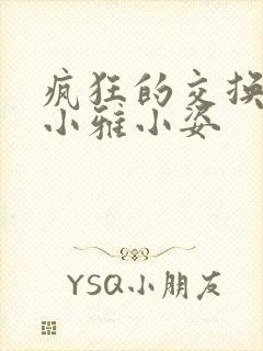 疯狂的交换小静小雅小姿