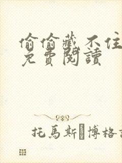 偷偷藏不住小说免费阅读