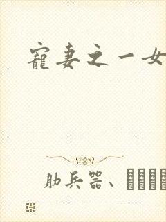 宠妻之一女二夫封面