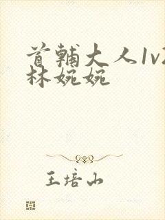 首辅大人1v2林婉婉