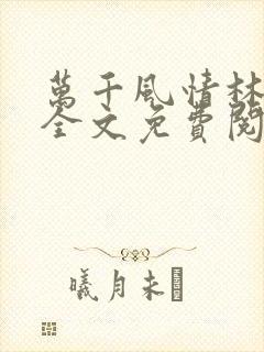 万千风情林小涛全文免费阅读