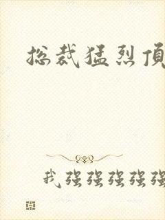 总裁猛烈顶弄h封面