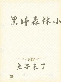 黑暗森林小说封面