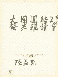 大团圆结2闪闪发光亲情会封面