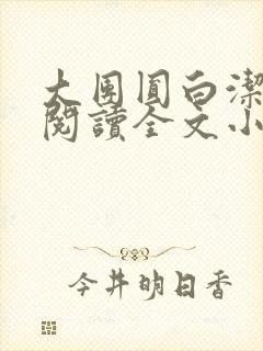 大团圆白洁免费阅读全文小说封面