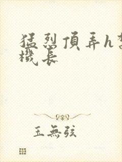 猛烈顶弄h禁欲机长