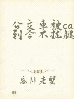 公交车被cao到合不拢腿视频