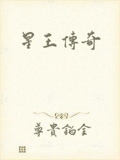 星王传奇
