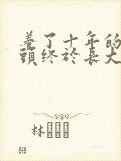 养了十年的小丫头终于长大了