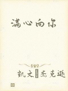 满心向你封面