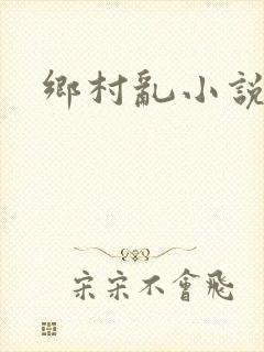 乡村乱小说