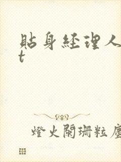 贴身经理人txt封面