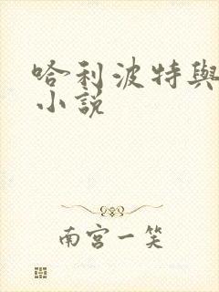 哈利波特与密室小说