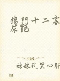 杨门十二寡妇肉床艳