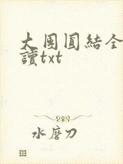 大团圆结全文阅读txt