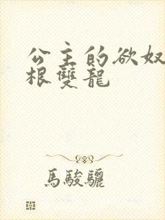 公主的欲奴h四根双龙