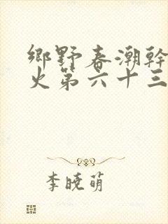 乡野春潮干柴烈火第六十三章