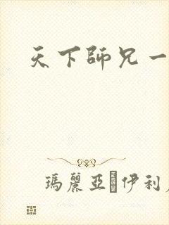 天下师兄一般黑封面