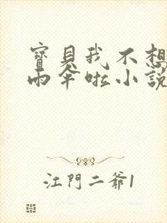 宝贝我不想带小雨伞啦小说