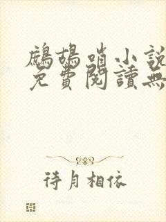 鹧鸪哨小说网站免费阅读无弹窗