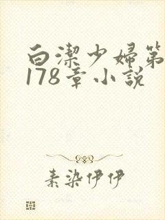 白洁少妇第1一178章小说封面