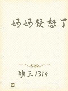 妈妈发怒了封面