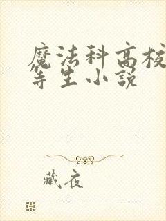 魔法科高校的劣等生小说封面