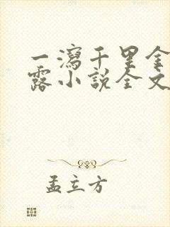 一泻千里金银花露小说全文免费阅读