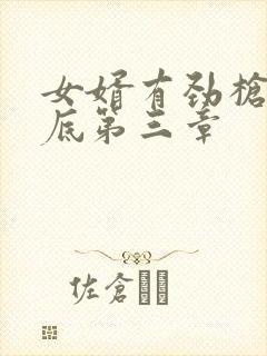 女婿有劲枪枪到底第三章