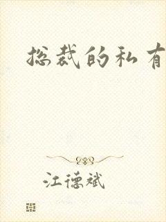 总裁的私有宝贝