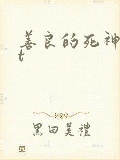 善良的死神txt封面