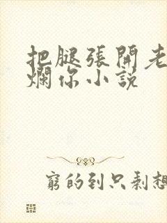 把腿张开老子臊烂你小说