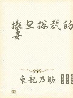 撒旦总裁的下堂妻封面