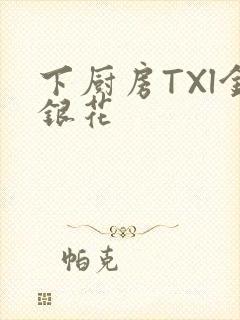 下厨房TXl金银花