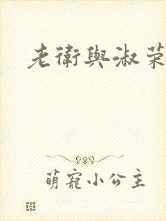 老卫与淑荣封面