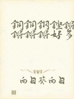 铜铜钢铿锵锵锵锵锵锵好多少阅读封面