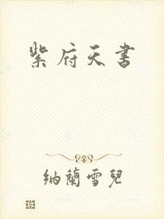 紫府天书