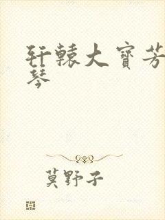 轩辕大宝芳菲雅琴