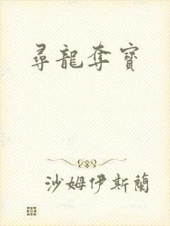 寻龙夺宝封面
