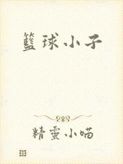 篮球小子