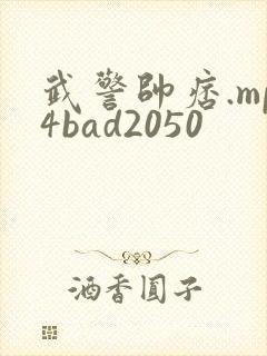 武警帅痞.mp4bad2050