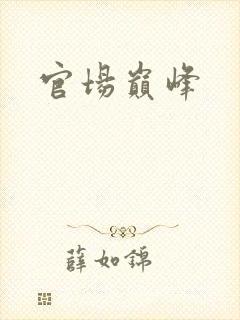 官场巅峰