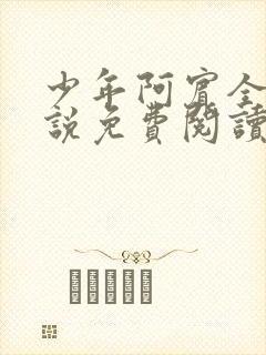 少年阿宾全文小说免费阅读笔趣阁封面