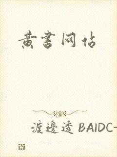 黄书网站